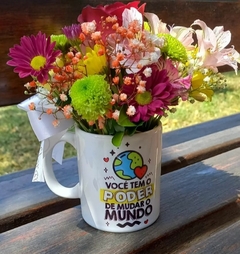 Caneca da Professora