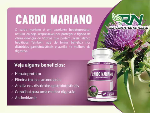 Cardo Mariano 60 Cápsulas 500mg RN