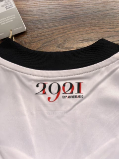 Imagen de River Plate 120 aniversario
