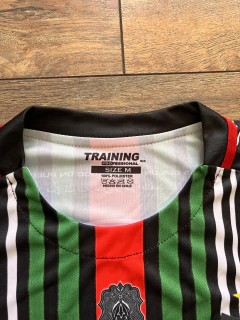 Palestino suplente 2016/2018 - (campeón Copa Chile) - comprar online