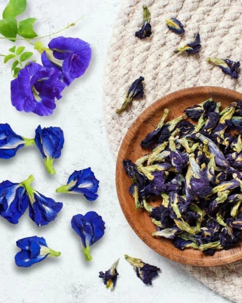 clitoria-cha-fada-azul