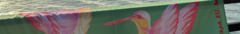 Banner da categoria Pareô