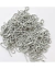 Cadena de bolitas gris - comprar online