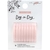 Maggie Holmes Day-To-Day Planner Discs 2.75"x4" 9/Pkg Blush