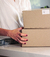 Todos los Boxes