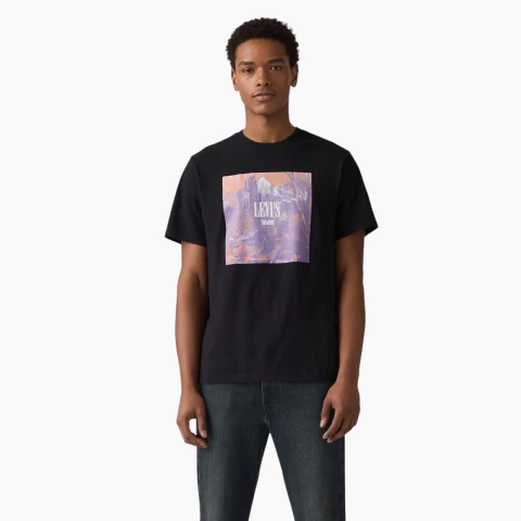 Remera Levis Square Picture Cactus - comprar online