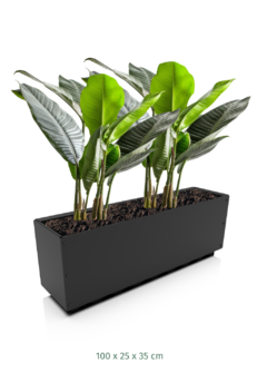 Macetón Rectangular de Metal Negro (A Pedido) - comprar online