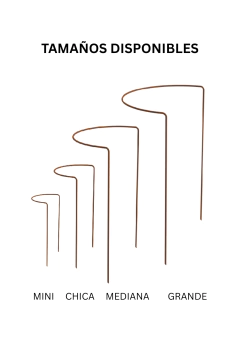 Medialunas en internet