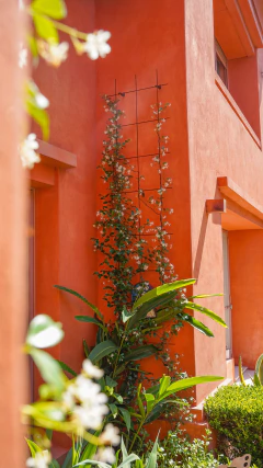 Guía de Pared - tienda online