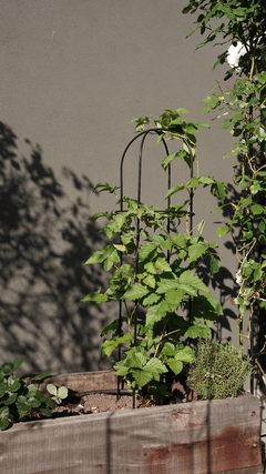 Torre Chica - Negro - comprar online