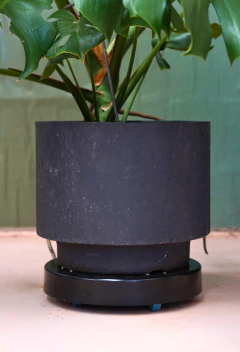 Base con Ruedas Redonda - comprar online