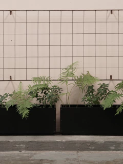 Macetón Jardinera | A Pedido - Elevate