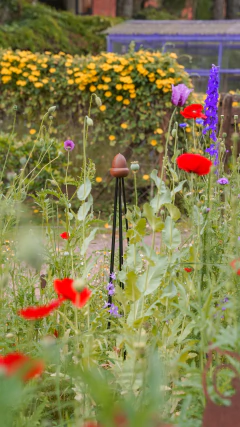 Bellota - tienda online