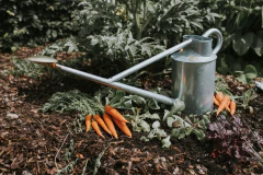 Preventa - Regadera Warley Fall Galvanizada 9 L Haws - tienda online