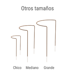 Medialuna Mediana - Sin pintar en internet