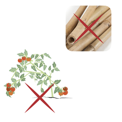 Tomatera - Sin pintar
