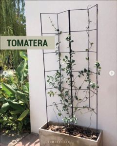 Tomatera - Negro en internet