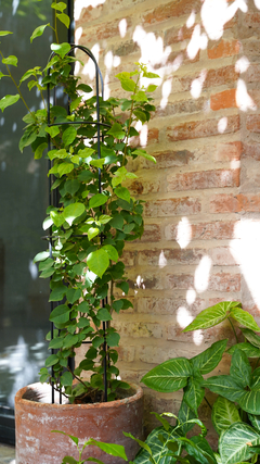 Torre Mini - Negro - comprar online