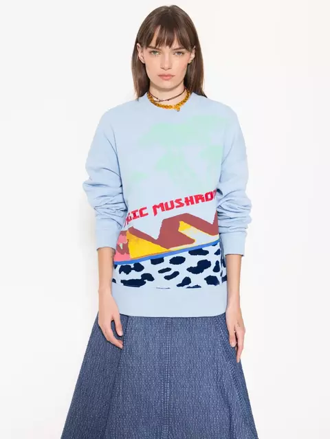 BUZO FABULOUS (JAZMIN CHEBAR) - comprar online