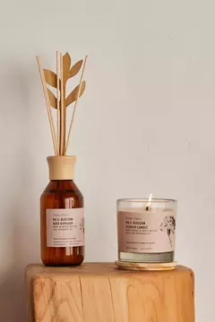DIFUSOR BLOSSOM 250 ML (PETITE AFFAIRE) en internet