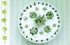 Imagen de LIBRO "FULL BLOOM CATHY GRAHAM"