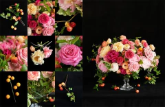 LIBRO "FULL BLOOM CATHY GRAHAM" en internet