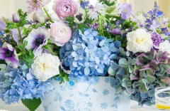 LIBRO "FULL BLOOM CATHY GRAHAM" - SHE