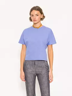REMERA VANESSA (JAZMIN CHEBAR) - comprar online