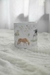 Caneca - Fazenda - comprar online