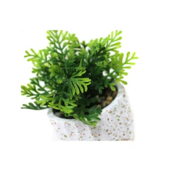 Planta con Maceta Cemento 8,5 x 14 Cm N 27 CM27 Galileo en internet