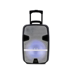 Bafle Potenciado Woofer 12" P1200D Aiwa - comprar online