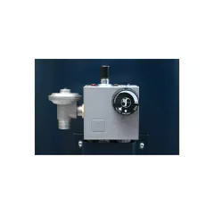 Termotanque a Gas Alta Recuperación 1100 Lt/H ACQUAPIU HYBRID4 Eskabe en internet