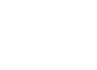 Adorno Joias