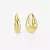 AROS FERN (X2)