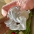 Box Accesorios #4 - comprar online