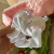 Box Accesorios #4 - comprar online