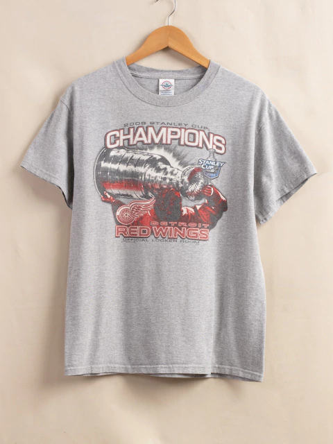 Camiseta stanley cup champions 2008