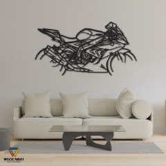 Painel Moto BMW S1000 RR - comprar online