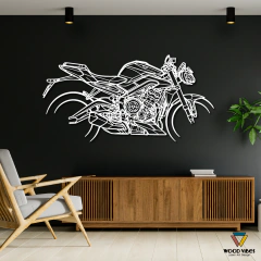 Painel Moto Triumph Street triple 765 rs - loja online