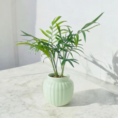 Maceta “Marion” - comprar online