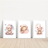 KIT 3 QUADROS URSA AQUARELA
