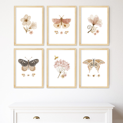 KIT 6 QUADROS BOHO BORBOLETAS - comprar online