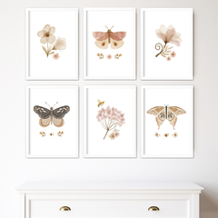 KIT 6 QUADROS BOHO BORBOLETAS - La Artes Quadros e Decor