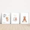 KIT 3 QUADROS URSO AQUARELA
