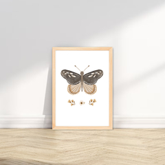 KIT 3 QUADROS BOHO BORBOLETAS 2 - comprar online
