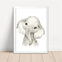 KIT 3 QUADROS SAFARI NOAH