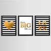 KIT 3 QUADROS DREAM BIG