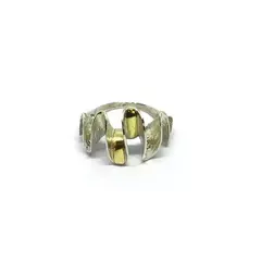 Anillo pilar