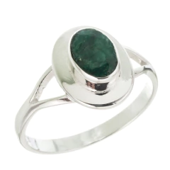 Anillo vega