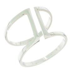 Anillo Ani
